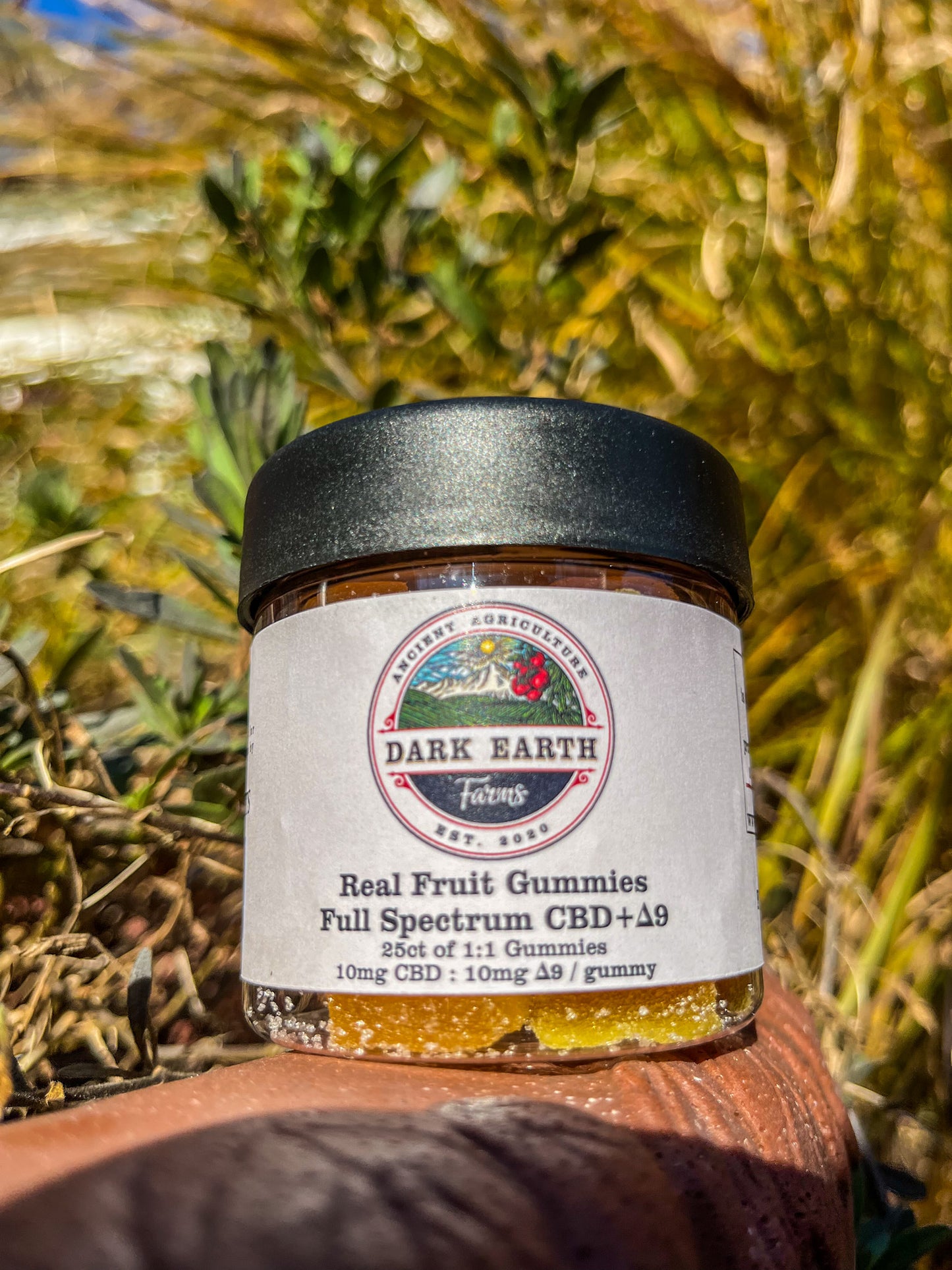 Delta-9+CBD Gummies (Orange)